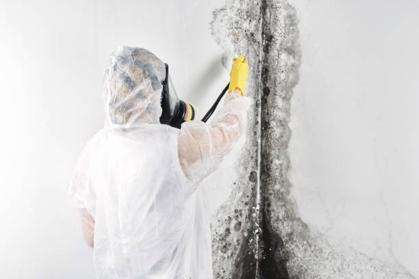 Best Residential water damage restoration  in Staunton, VA